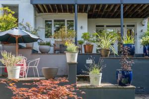 Beautiful Cotham Garden flat 2 bedroom