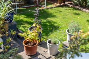 Beautiful Cotham Garden flat 2 bedroom