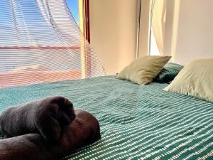 Appartements Voile de Mer 2 - Les Pieds dans l-eau, CLIM, Wifi, 3 personnes : photos des chambres
