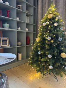 Girske Povitria Apartments