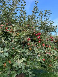 Brunstorpsgård Bränneriet