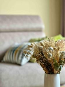 LOpaline, Ravissante maison familiale, Wimereux