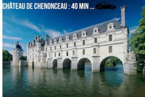 Maisons de vacances ilot cosy and SPA -PROCHE ZOO BEAUVAL : photos des chambres