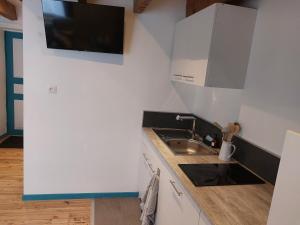 Appartements Logements Clos saint Genest 1appartement et 3 studios : photos des chambres