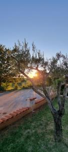 Beautiful Istrian Villa with private pool and private parking
