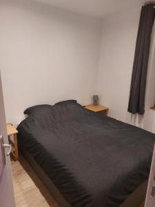 Appartements Logements Clos saint Genest 1appartement et 3 studios : photos des chambres