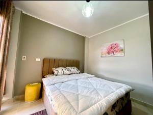 Fully furnished apartment