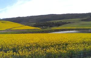 PROVIDENCE VILLA -Tranquil, Neat & Private Cottage