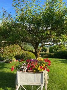 Agriturismo Bordigaie