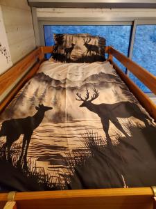 Appartements Studio en montagne : photos des chambres