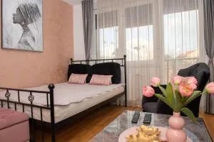 Relax studio apartman Novi Sad, Telep - Pasuljište