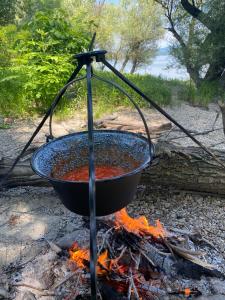 ÉletMagTár Guesthouse