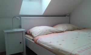 Apartmán Apartment Olomouc Olomouc Česko