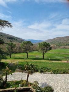 Maisons de vacances Le Cedre de Prades 4 etoiles Logement entier Parc Naturel Haut Languedoc - Salagou : photos des chambres