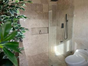 Casa Michela 512, piscine privée
