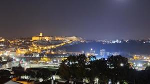 Coimbras Gray & White