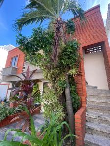 Encanto Barranquillero!