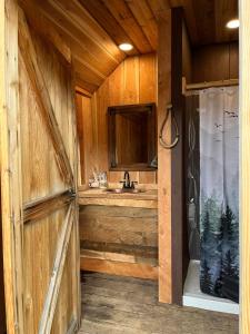 Gorgeous Wild Buffalo Tipi Near West Yellowstone