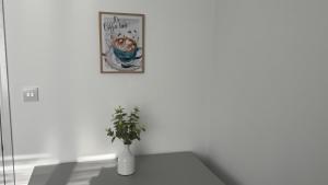 The Snug shared house