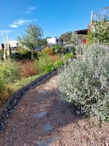 Appartements Haut de Villa - Corsica : photos des chambres