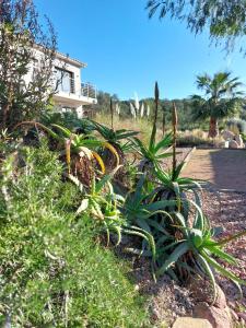 Appartements Haut de Villa - Corsica : photos des chambres