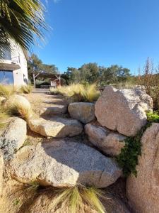 Appartements Haut de Villa - Corsica : photos des chambres