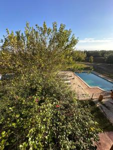 Magnifique Riad, Élégance et Charme Authentique à Marrakech