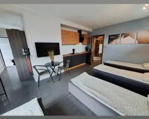Apartament studio PIANO - Matyldów