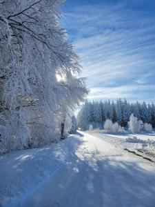 Chalets Magnifique Gite en Bord de Lac : photos des chambres