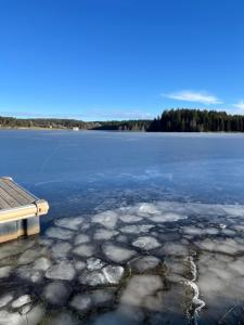 Chalets Magnifique Gite en Bord de Lac : photos des chambres
