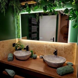 Appartements Evasion Tropicale Suite Jungle Room : photos des chambres