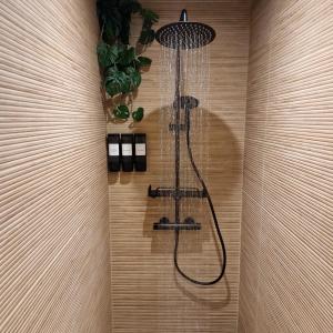 Appartements Evasion Tropicale Suite Jungle Room : photos des chambres
