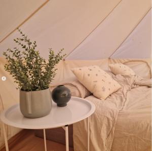 Bergs Slussar Glamping