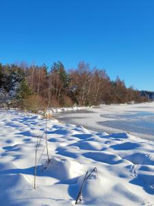 Chalets Magnifique Gite en Bord de Lac : photos des chambres