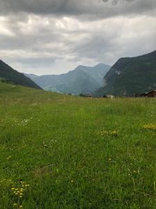 Chalets Chalet Les Oursons : photos des chambres
