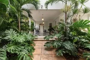 Casa Damiana - Komchén