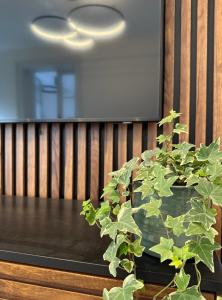 Old Town Escape - Central Apartment with Garden