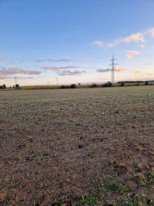 Cosy guesthouse outside Kristianstad