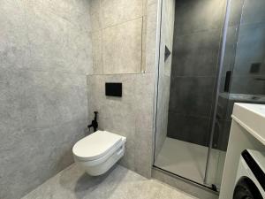 Smarty Choice Living with FREE PARKING - Vondroušova