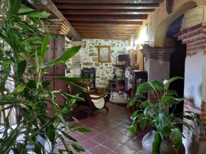 Hospederia Doña Ligia