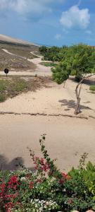 Dunas de Jeri