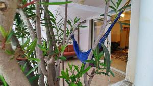 Studio Murdeira Beach Pool Bay