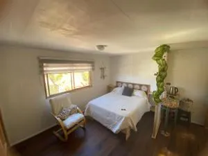 Cactu - Las Cucharas