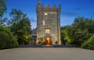 Moyvannan Castle on 7 Acres - Cloonmore