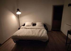 Appartements Studio cosy centre ville : photos des chambres