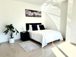 Loft con vista a las Montañas a 5 minutos de San Pedro