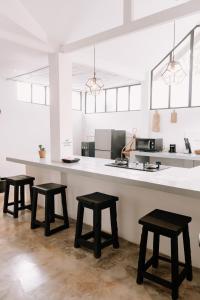 chic and cozy studio