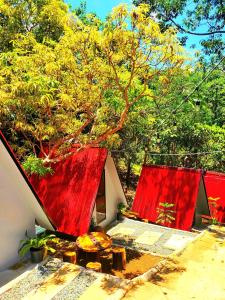 Glamping at Le' Antonia's Farm