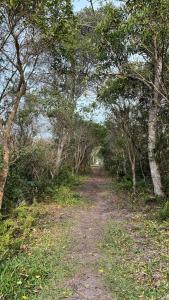 Apartamento aconchegante perto do mar