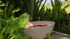 Coconut Corner Boutique Hotel - Krambitan